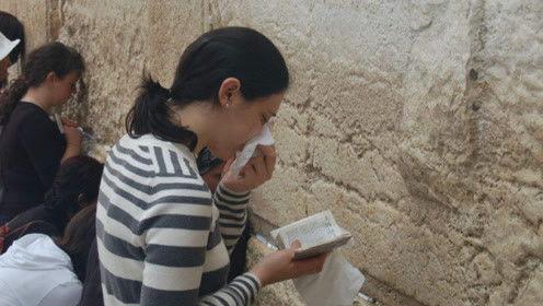 娱乐吃瓜君被喊了吗,揭秘网络热词背后的故事