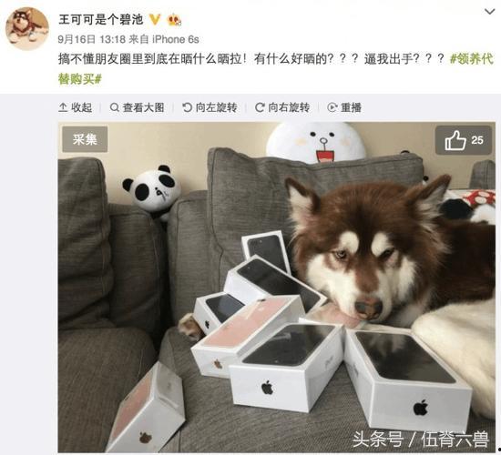 娱乐圈吃瓜小狗小说在线阅读