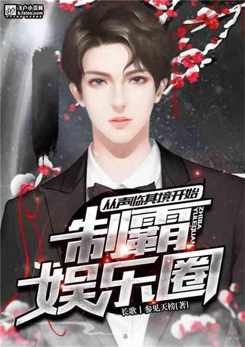 娱乐圈小说主角威尔,娱乐圈的璀璨星辰