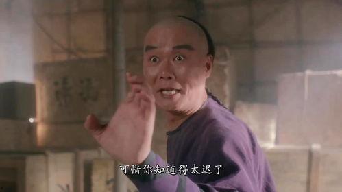 铁鸡斗蜈蚣演员表,实力派演员阵容演绎经典对决